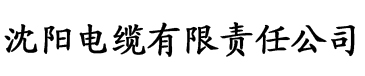 山海高中by吕天逸电缆厂logo